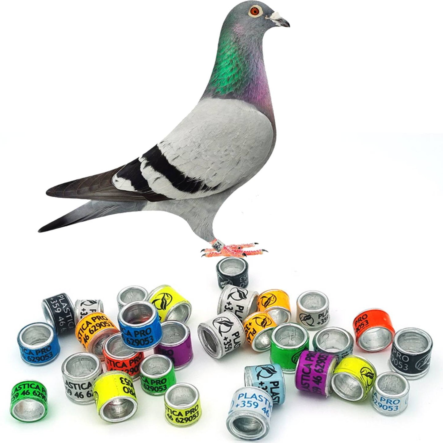 Wholesale Aluminum Plastic Bird Bands, Bulk Aluminum Base With Plastic Coating Pigeon Leg Bands - All Colors