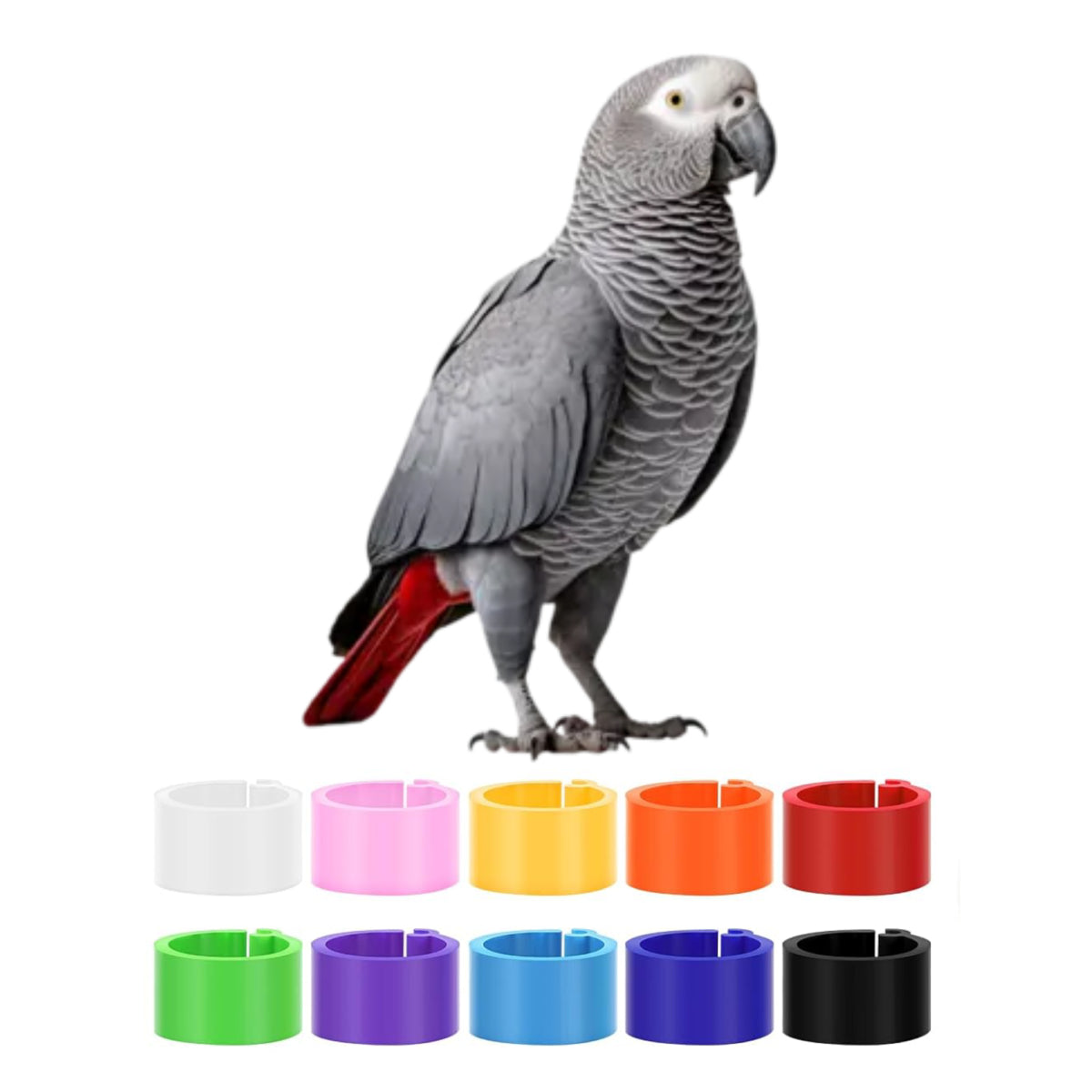 Parrot Leg Bands